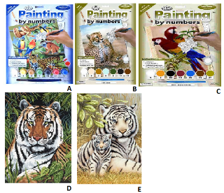 Obrázek z Malování vodovými barvami Junior Royal 